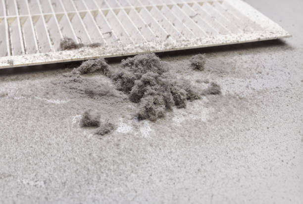 Best Emergency Air Duct Cleaning  in Bloomville, OH