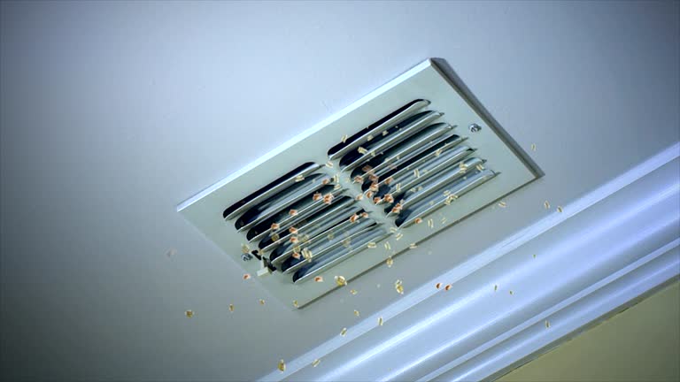 Best Commercial Air Duct Cleaning  in Bloomville, OH