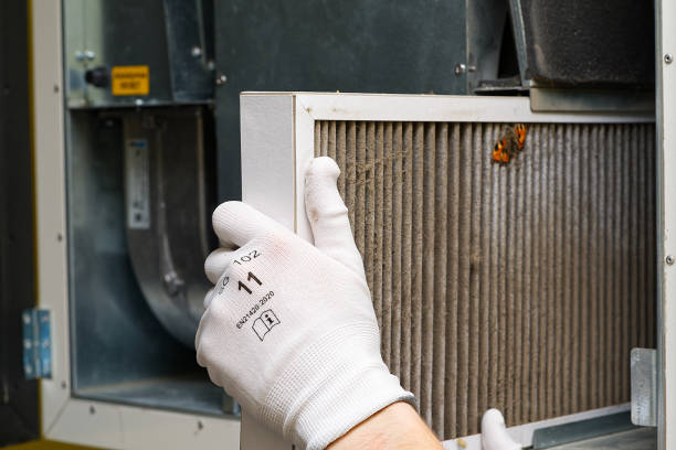 Best Commercial Air Duct Cleaning  in Bloomville, OH