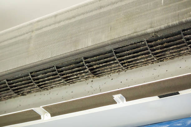 Best Air Duct Inspection  in Bloomville, OH
