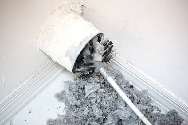 Best Affordable Duct Cleaning Services  in Bloomville, OH